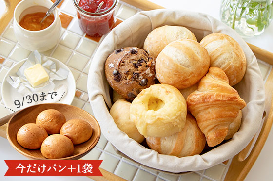 Pan の はじめてセット 28 Offでブリオッシュのおまけつき りっつんブログ Pan の はじめてセット 28 Offでブリオッシュのおまけつき りっつんブログ